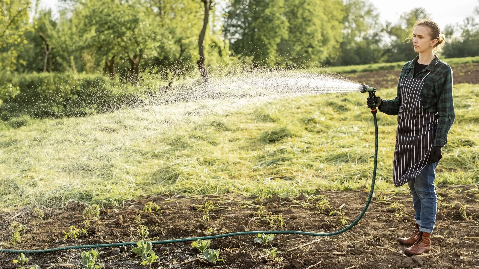 Mulher irrigando horta em pequena propriedade rural
